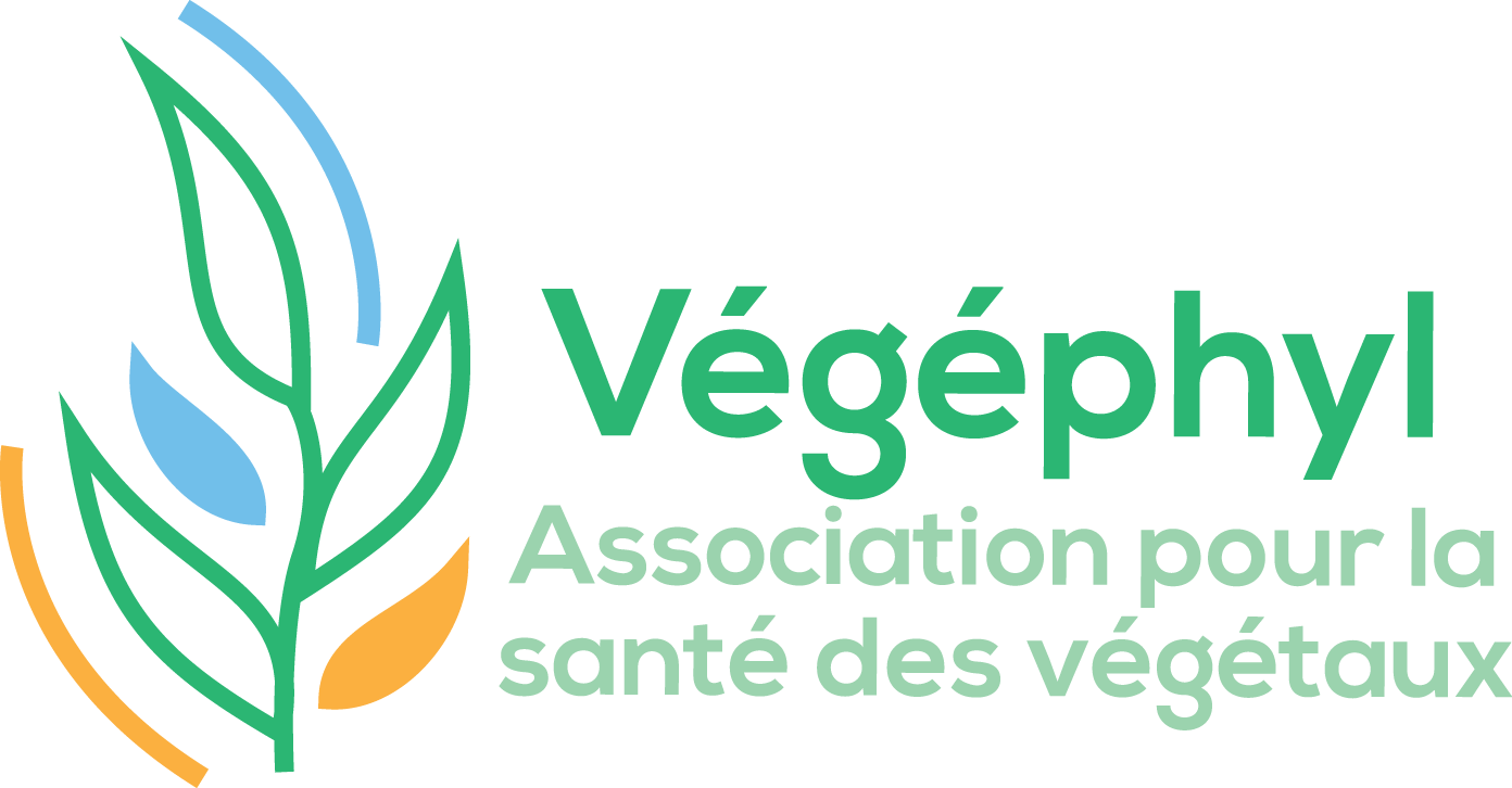Vegephyl logo