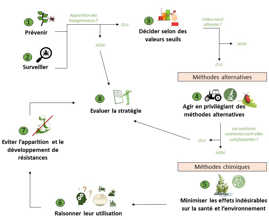 Acta-ECOPHYTOPIC-schéma PIC