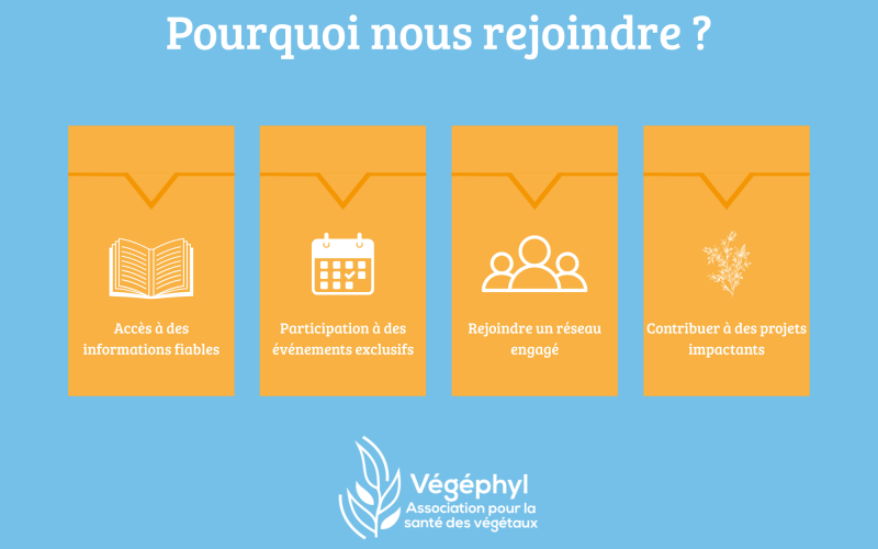 Illustration adhésion Illustration adhésion